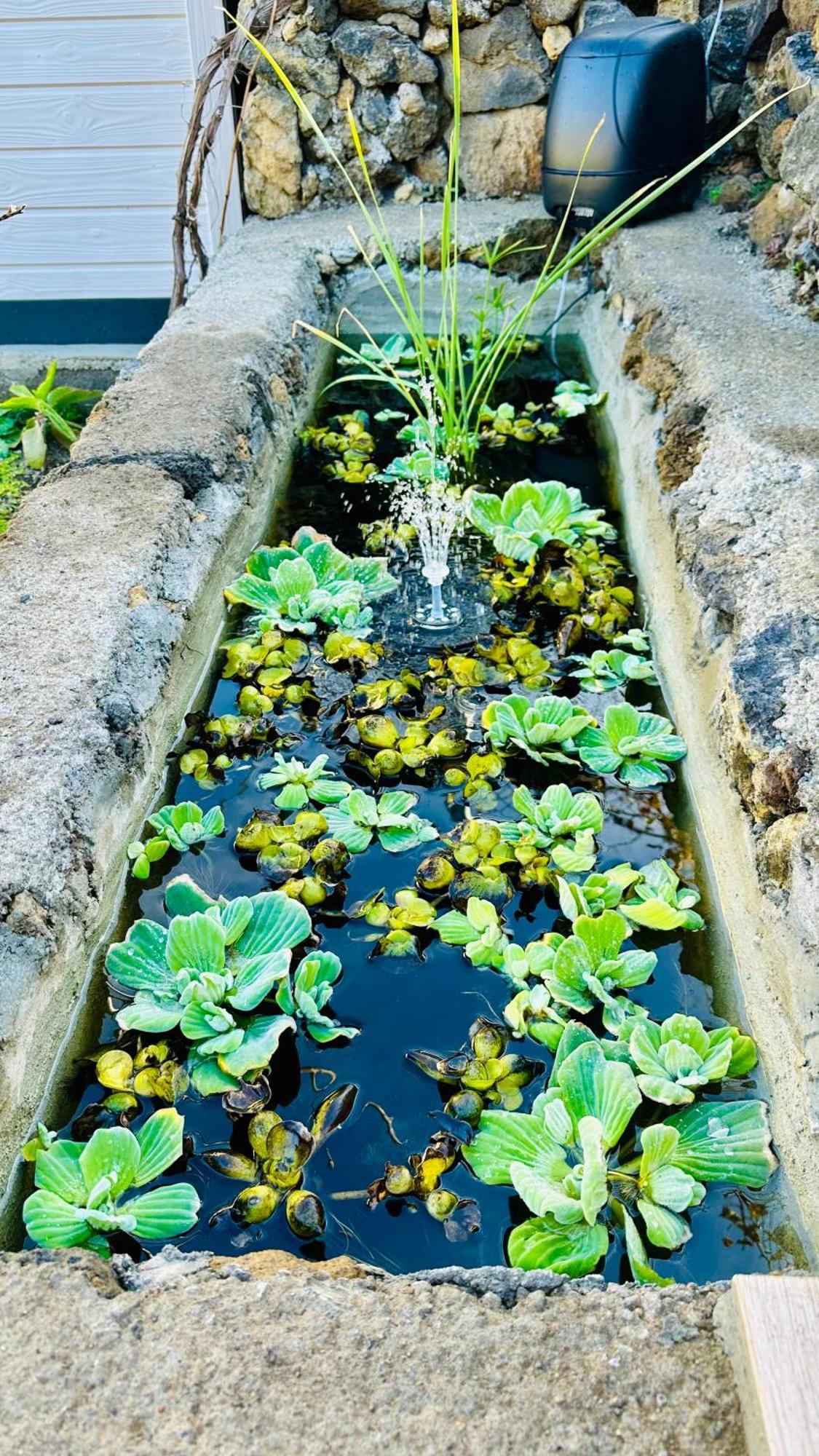 Finca Maracuya เอลปาโซ ภายนอก รูปภาพ