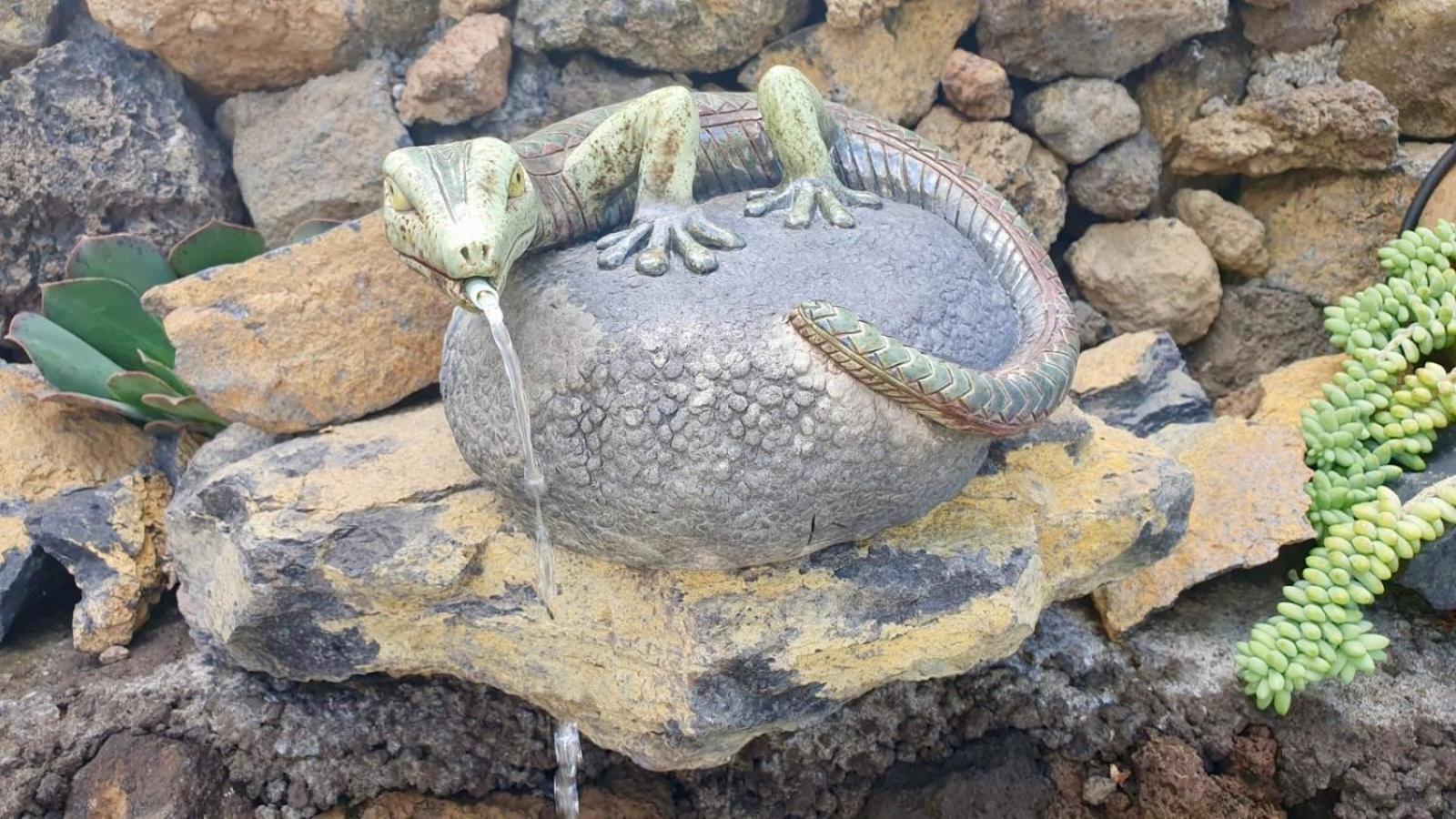Finca Maracuya เอลปาโซ ภายนอก รูปภาพ